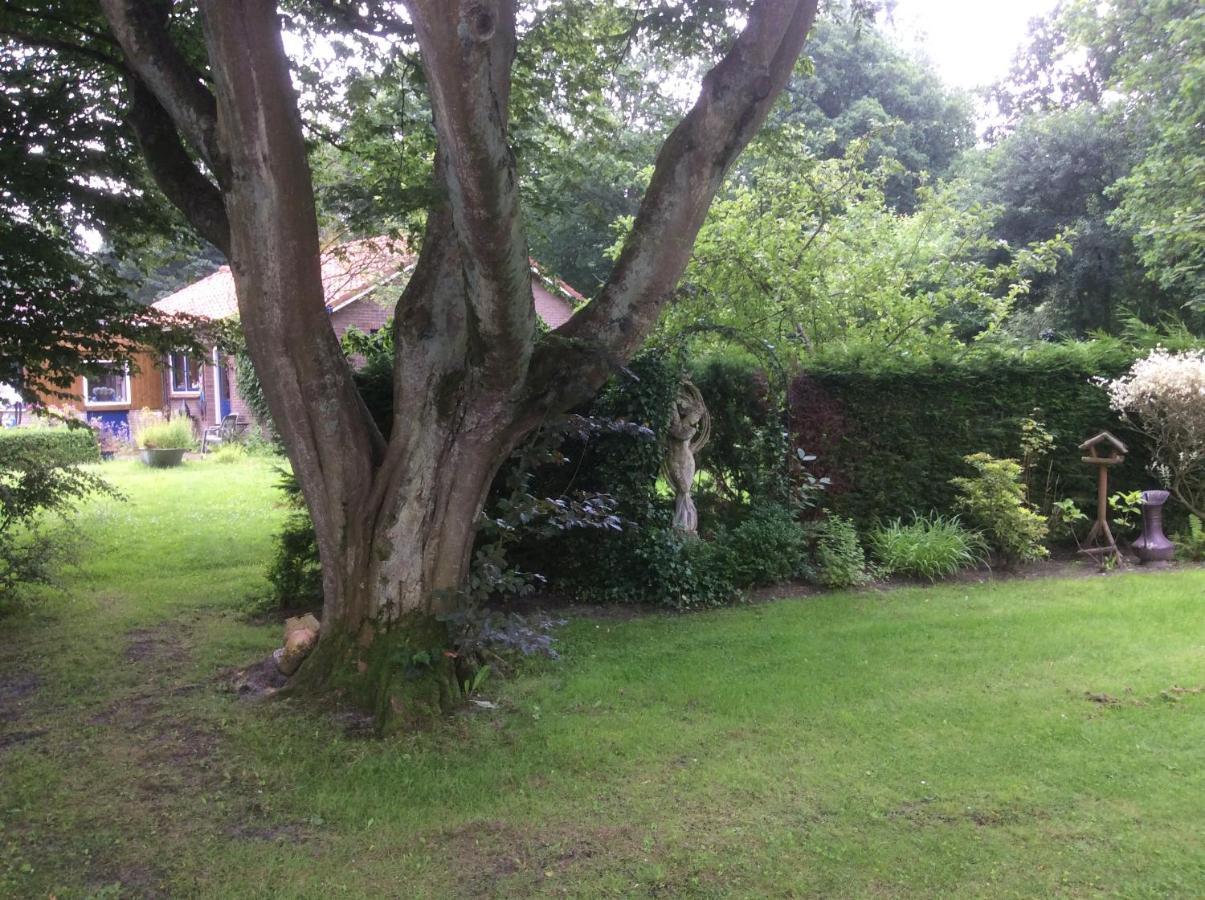 Vakantiehuisje Vlakbij De Duinen โอสท์วอร์เนอ ภายนอก รูปภาพ